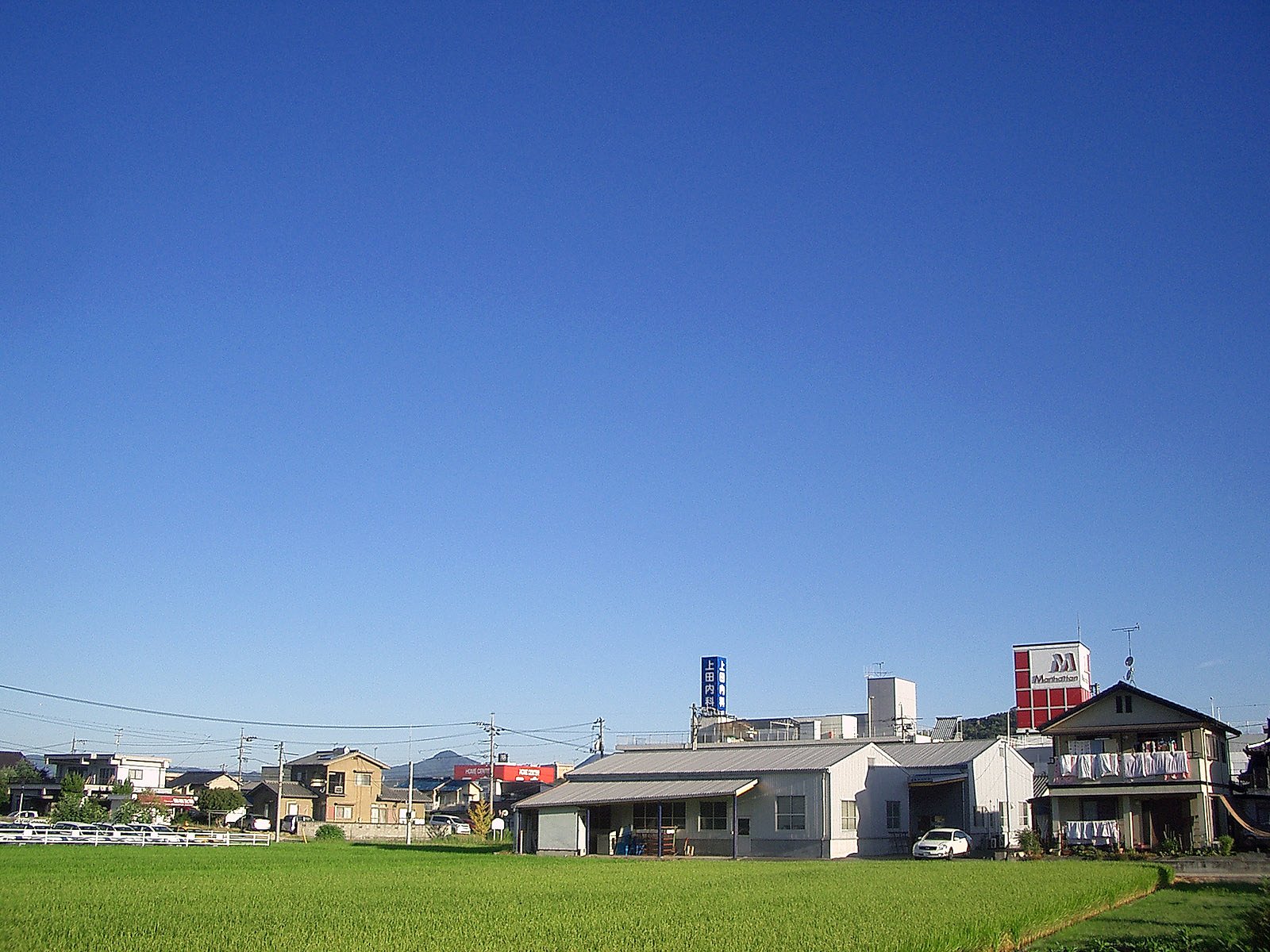 今日も真夏日