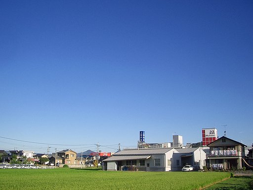 今日も真夏日