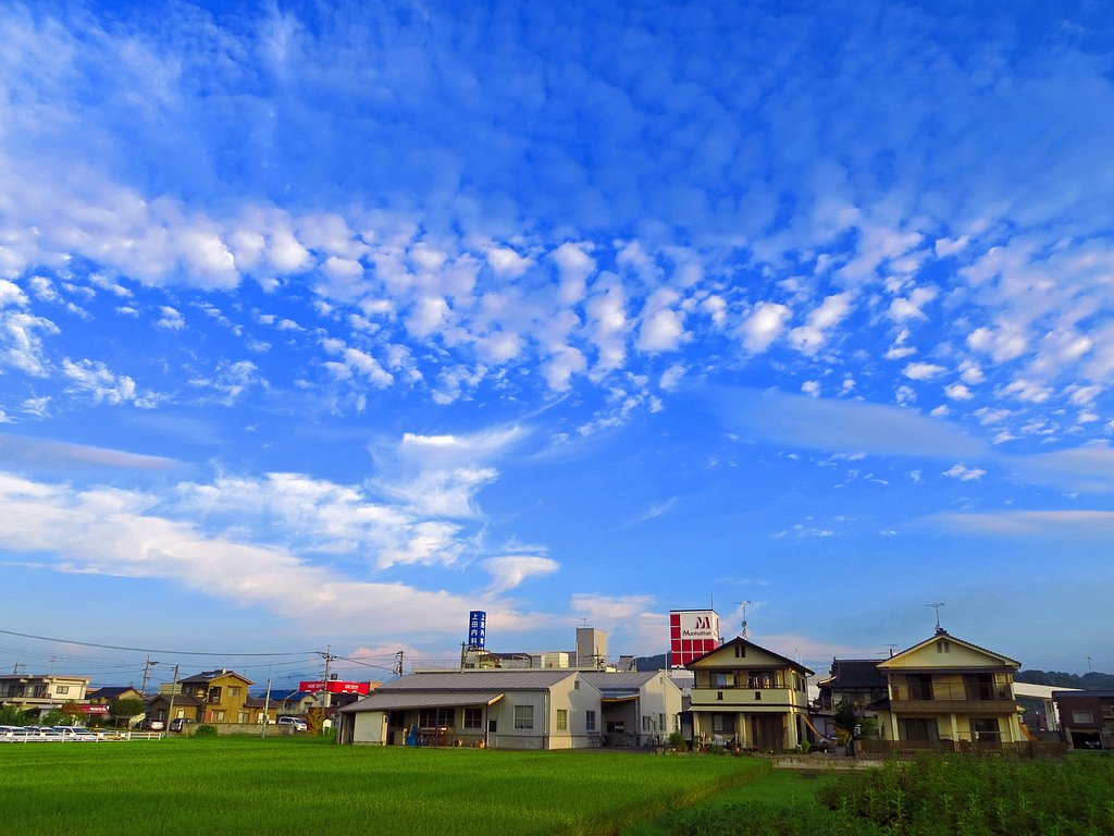 秋空