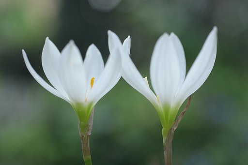 9月14日の写真