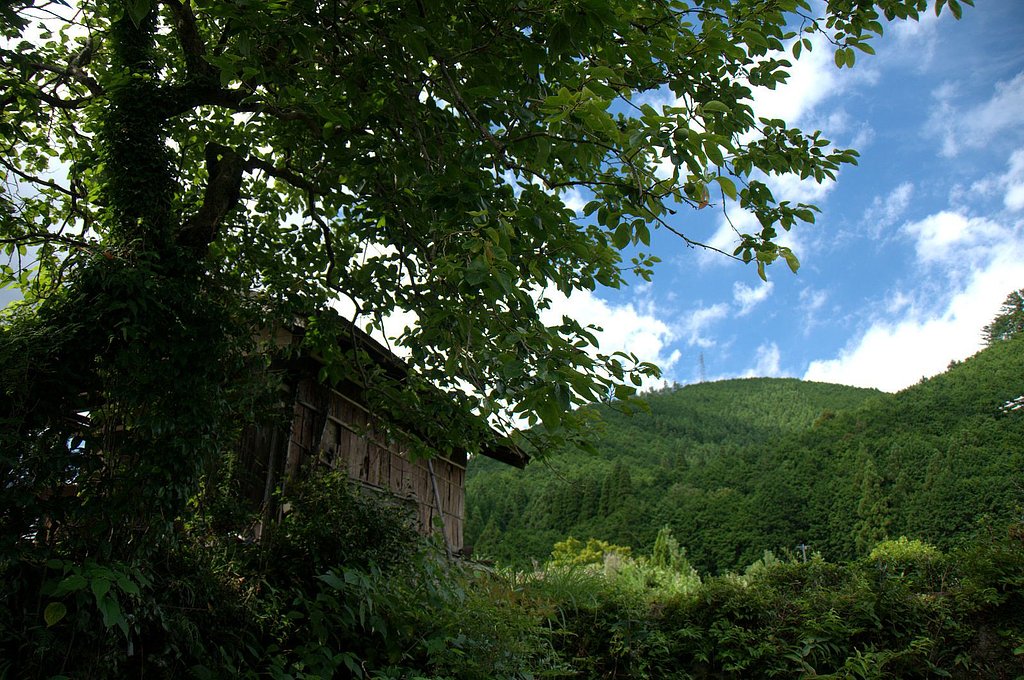 過疎地の廃屋