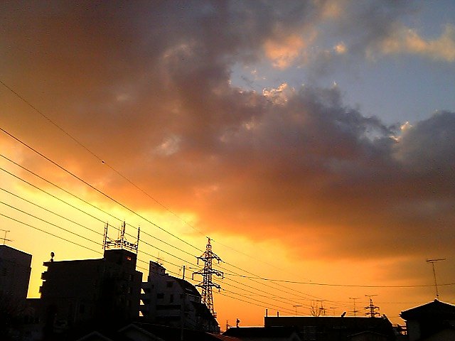 携帯写真にチャレンジ