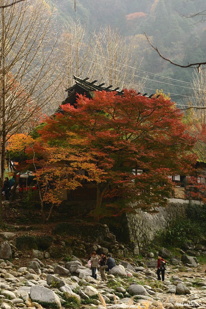 香嵐渓Ⅱ