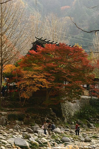 香嵐渓Ⅱ