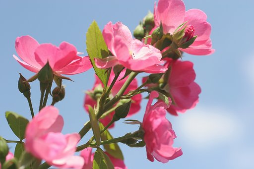 夏空をバックに〜