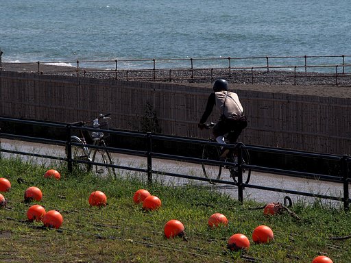 サイクリング