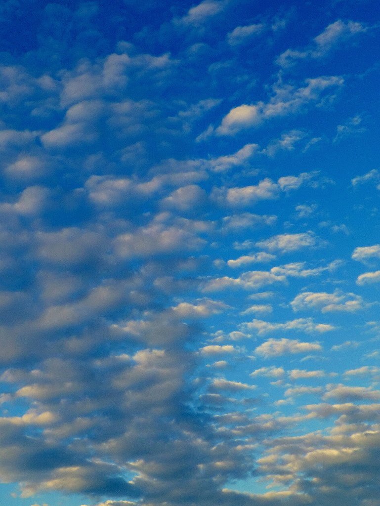 雲