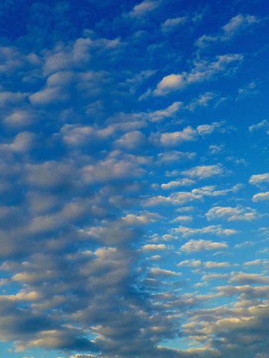 雲
