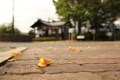 中萱駅と秋の足音
