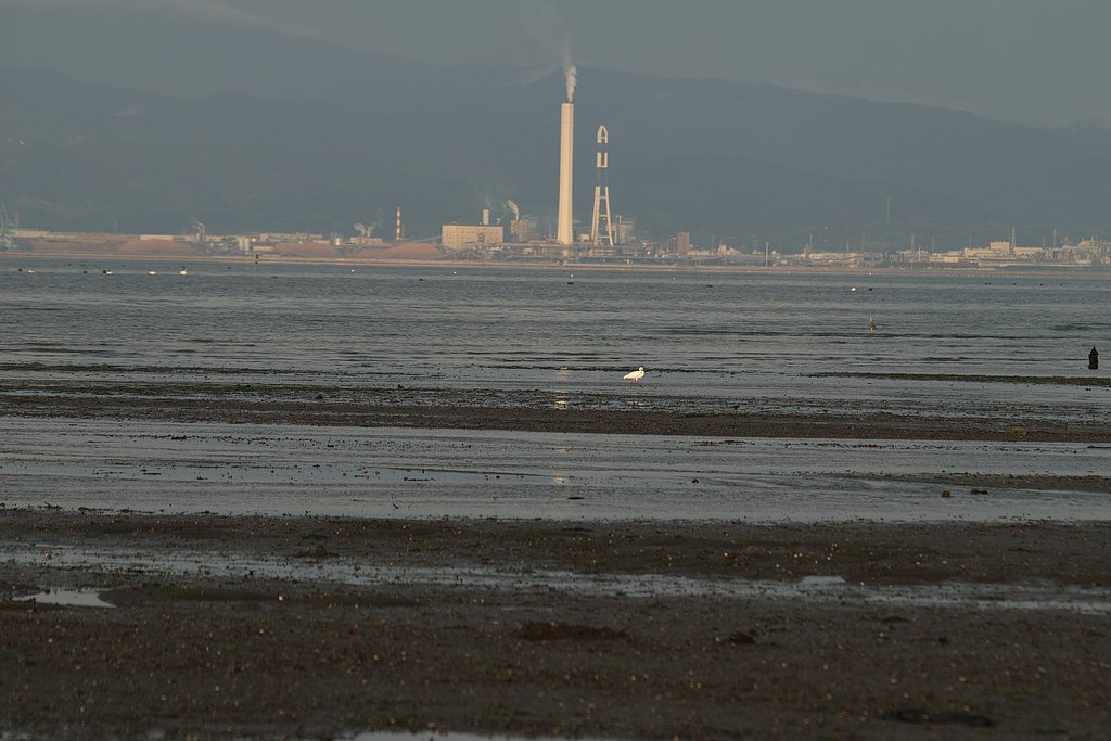 瀬戸の内海