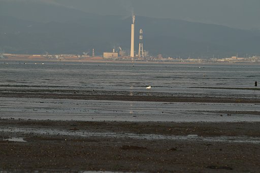 瀬戸の内海