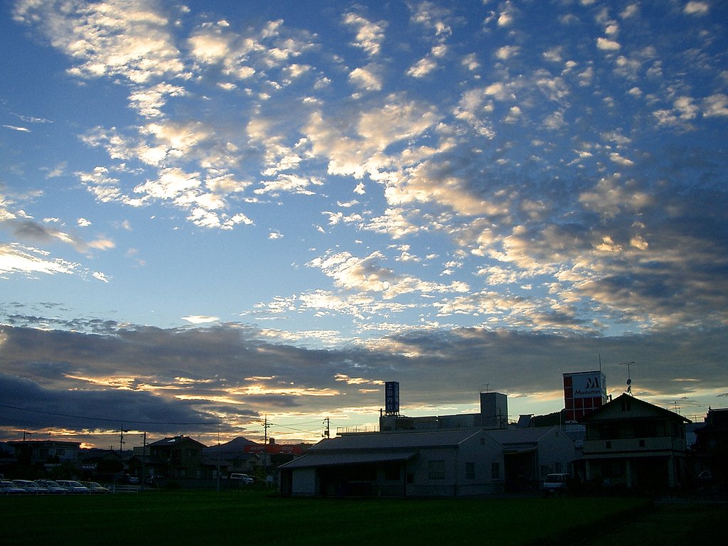 定点夏空の夕