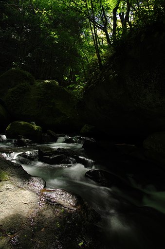 初夏を探しにⅢ