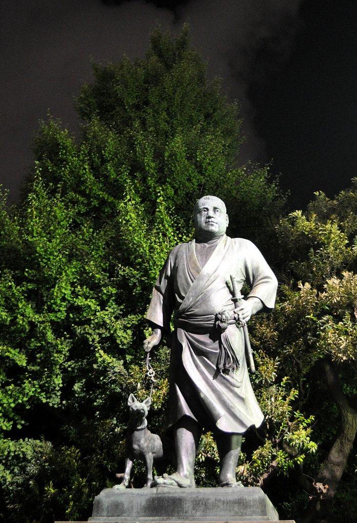 夜の西郷隆盛像