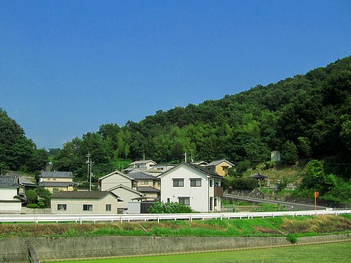 夏景色