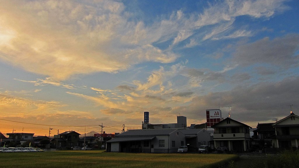 定点夕暮れ