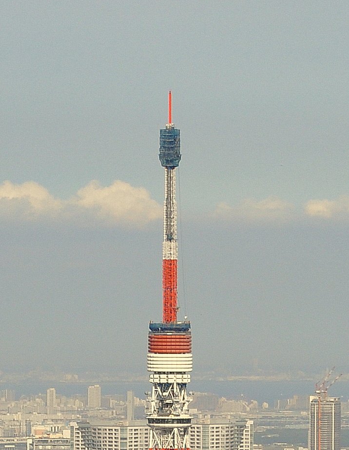 頂部