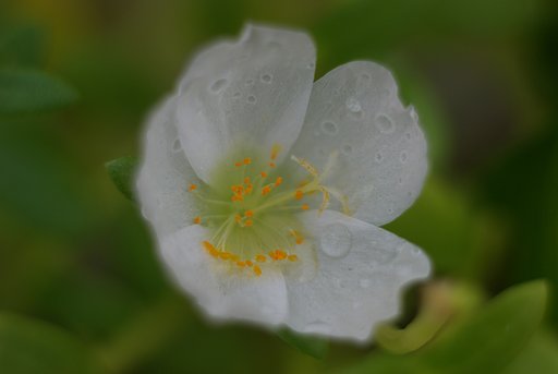 雨の合間に