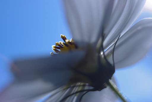 完全逆光で