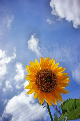 キタァ〜〜〜　夏だぜぃ！