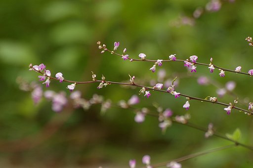 850m付近で出会う＃１