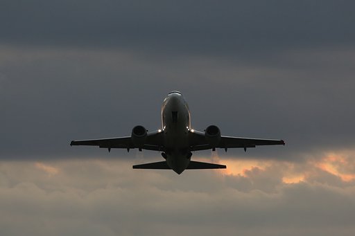 夕空を飛ぶ