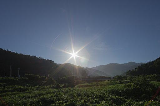 真夏の朝日・・。