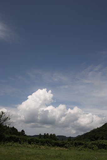 そろそろ・・・