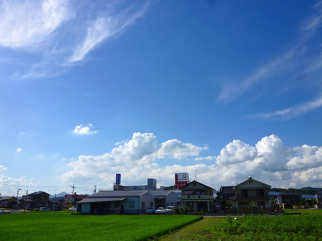 定点盛夏
