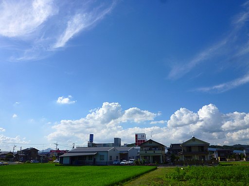 定点盛夏