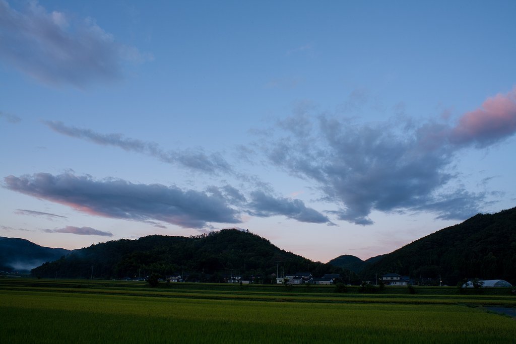 早朝の南空。