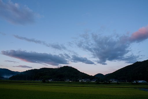早朝の南空。