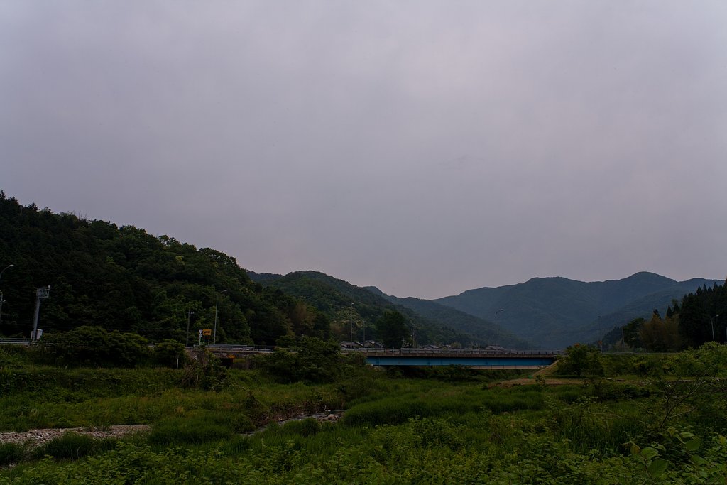 暗い曇り空で時折パラリ。