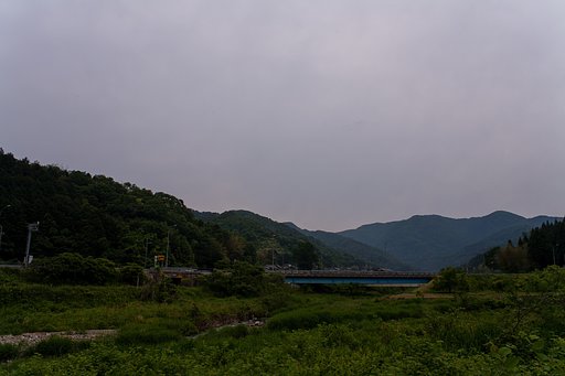 暗い曇り空で時折パラリ。