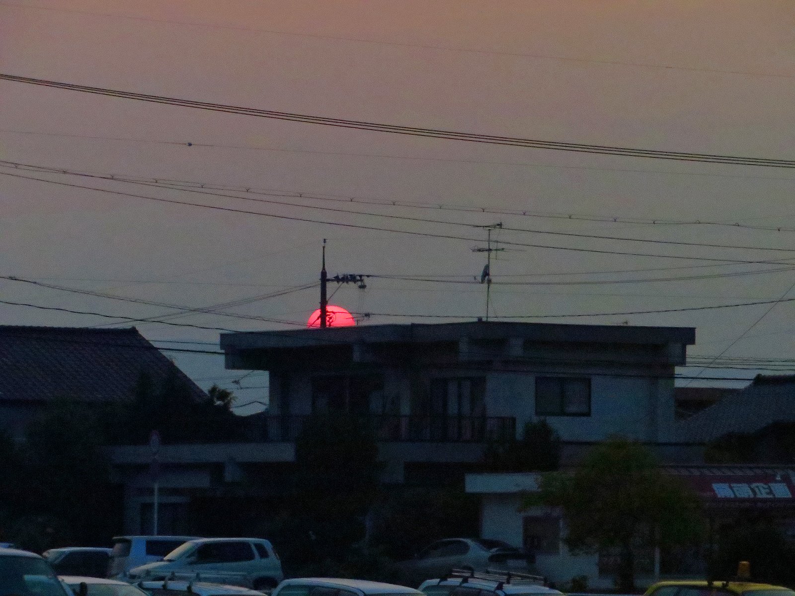 赤くなったけど