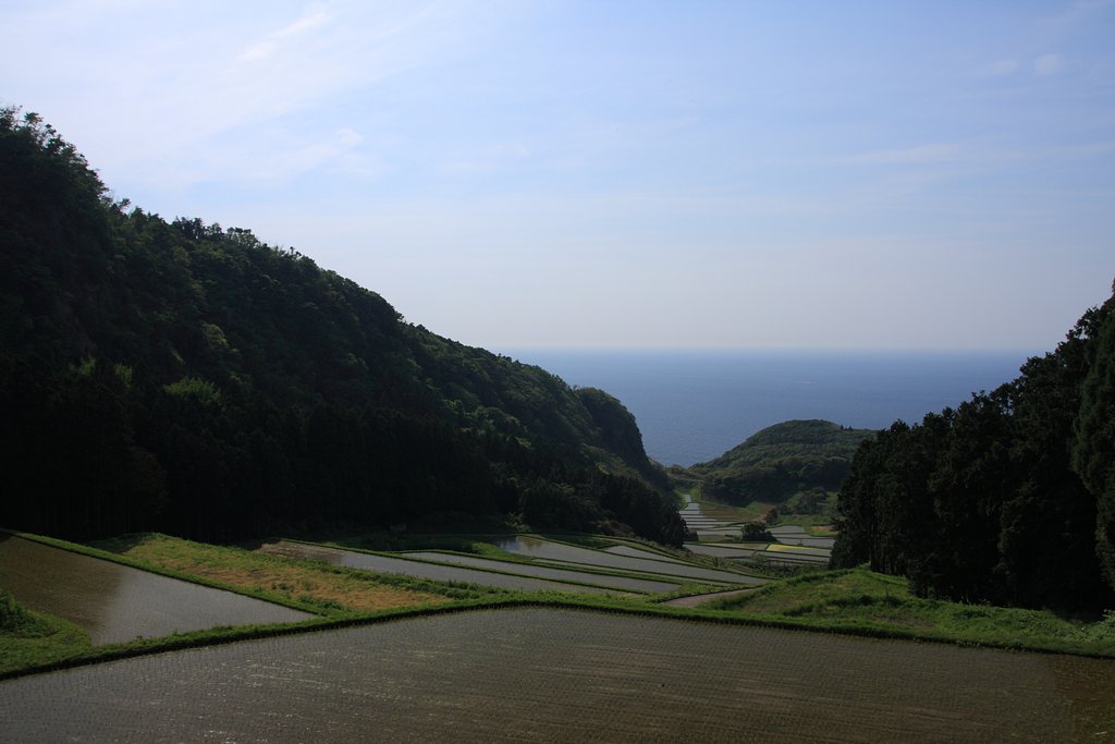 海の見える棚田　その２