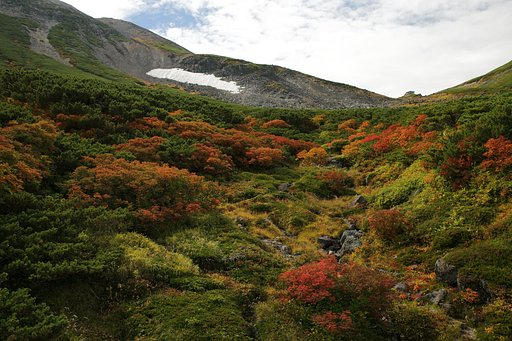 降り来る朱