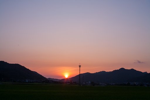 鮮やかな夕焼けに。