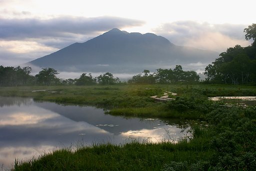 尾瀬夏景　1