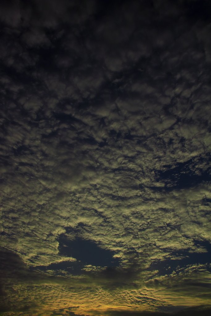 【風を感じて】羊雲