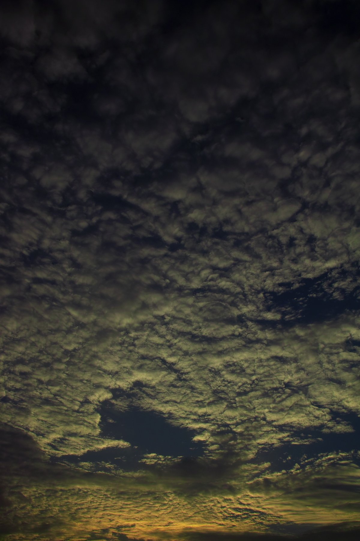 【風を感じて】羊雲