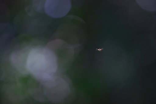 ホバリング