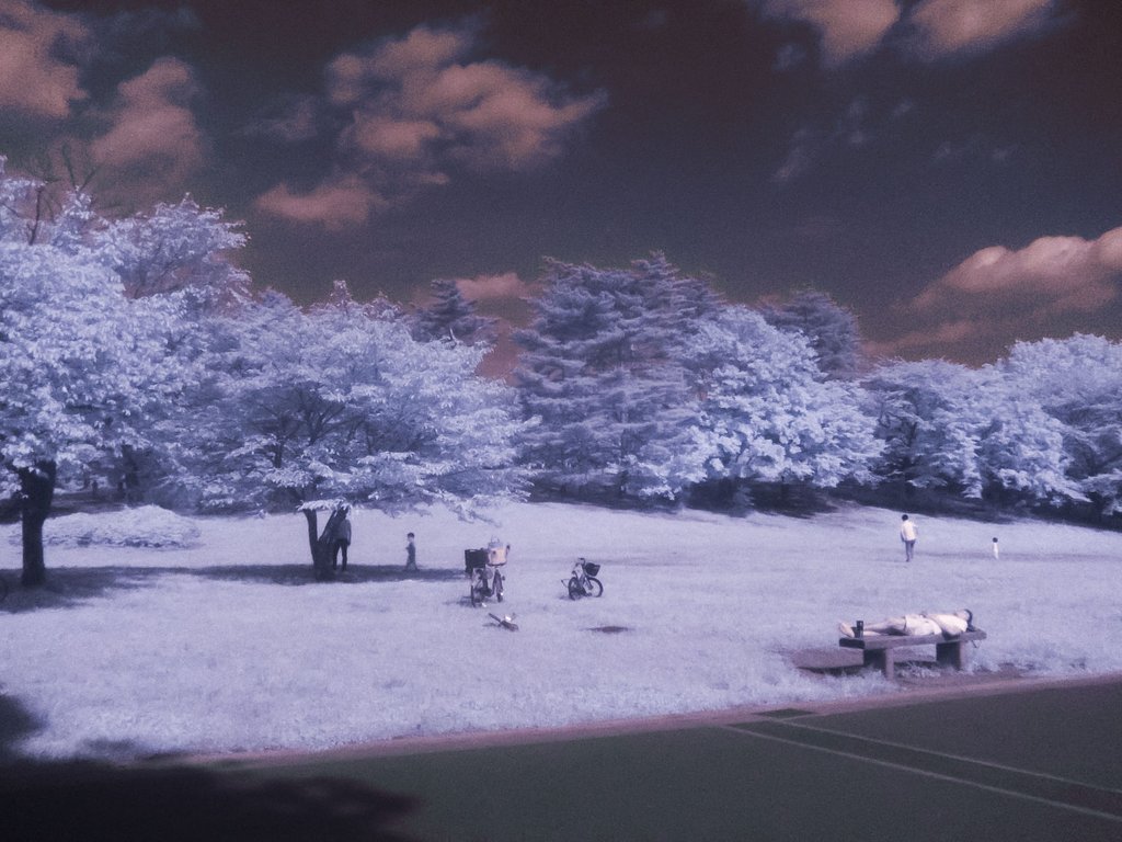 夢の中