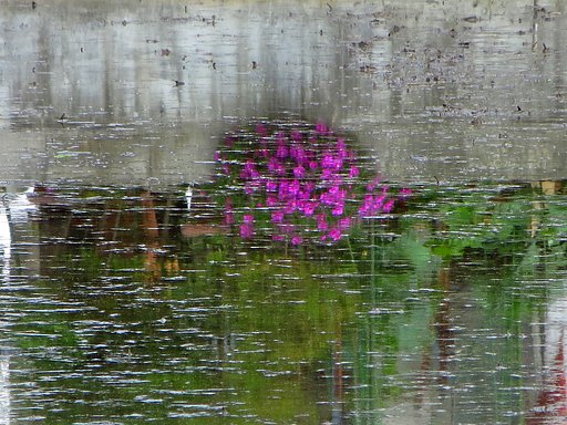 田植え前風景