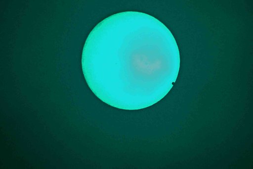§　「金星」か「ゴミ」か　§