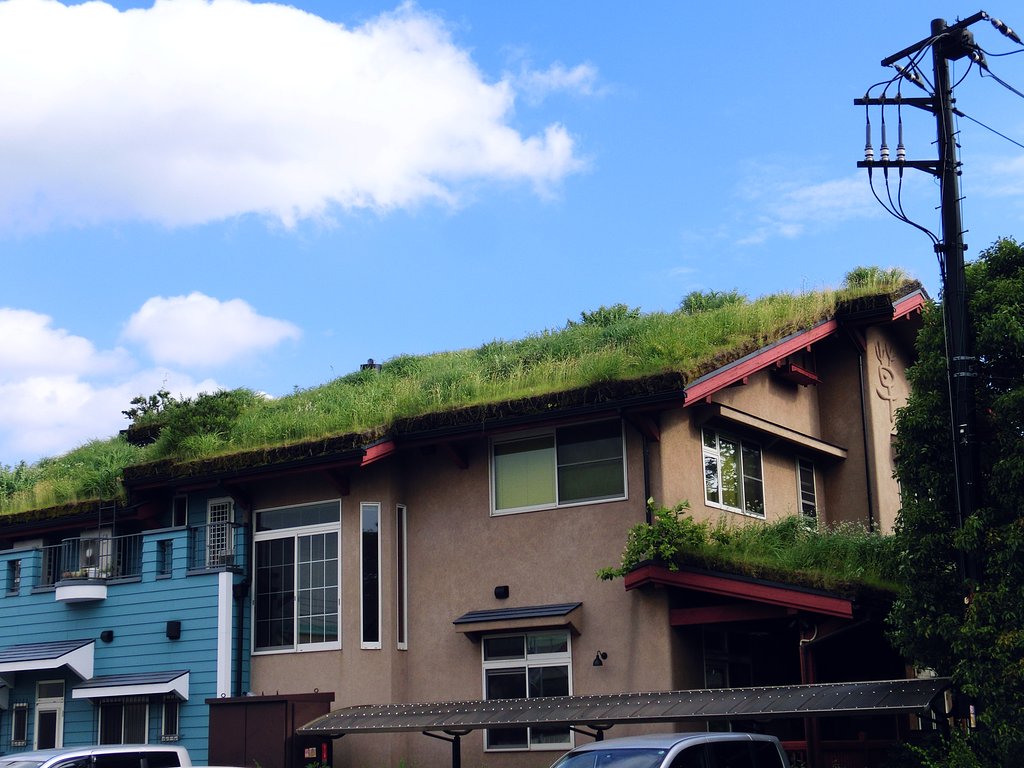 ぺんぺん草の家