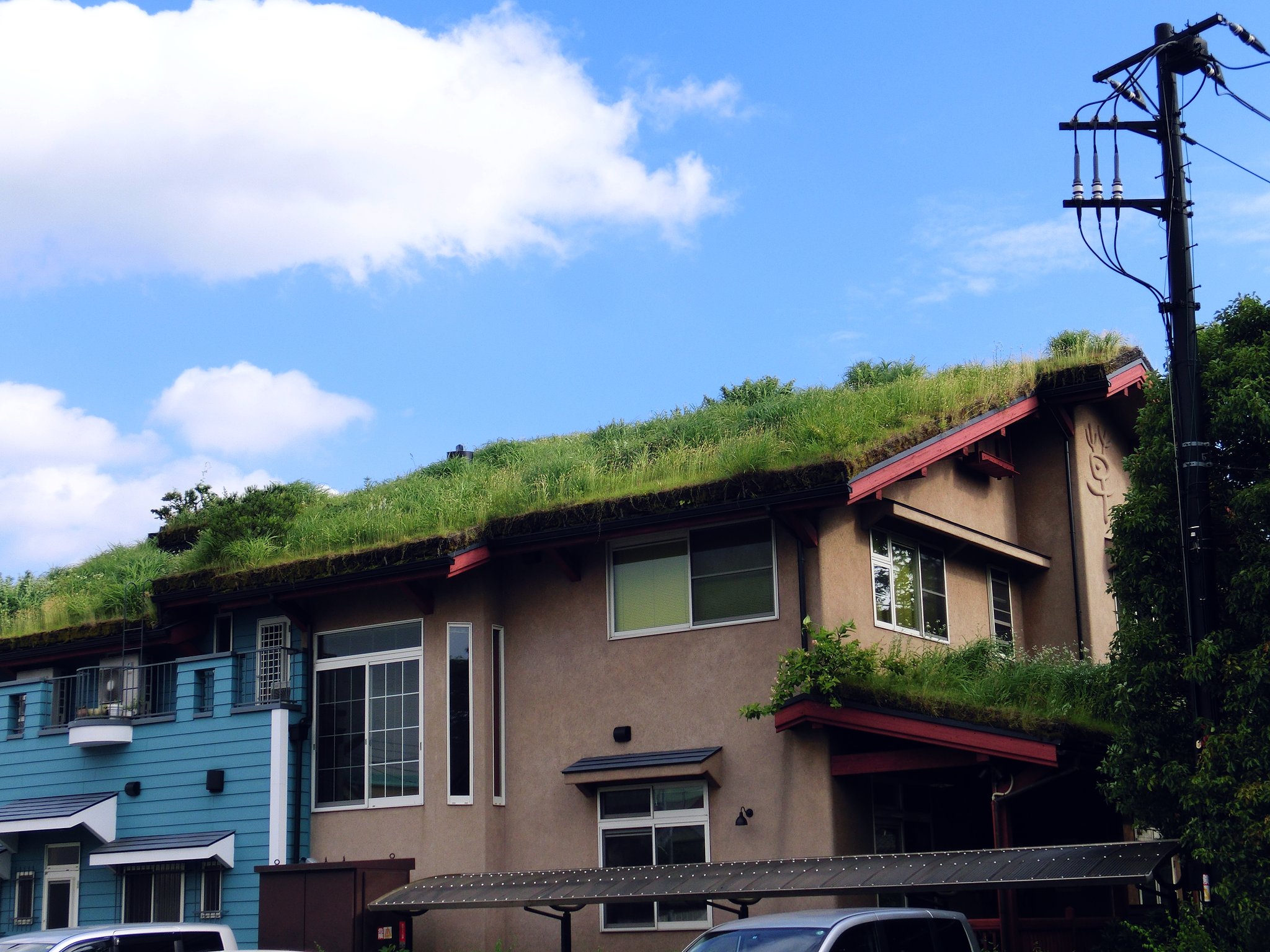 ぺんぺん草の家