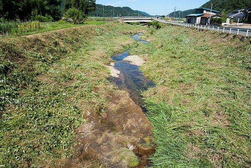 早朝草刈りを・・。