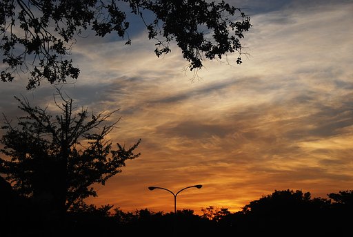 夏の夕景