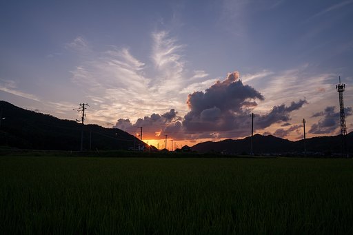 今日の夕焼け!